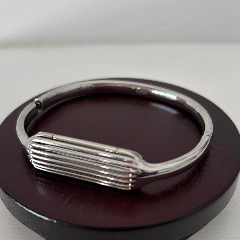Fitbit Flex 2 Stainless Steel Bracelet